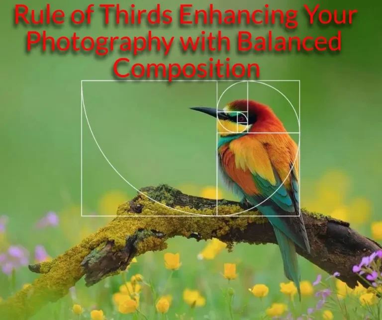 Rule of Thirds: Enhancing Your Photography with Balanced Composition