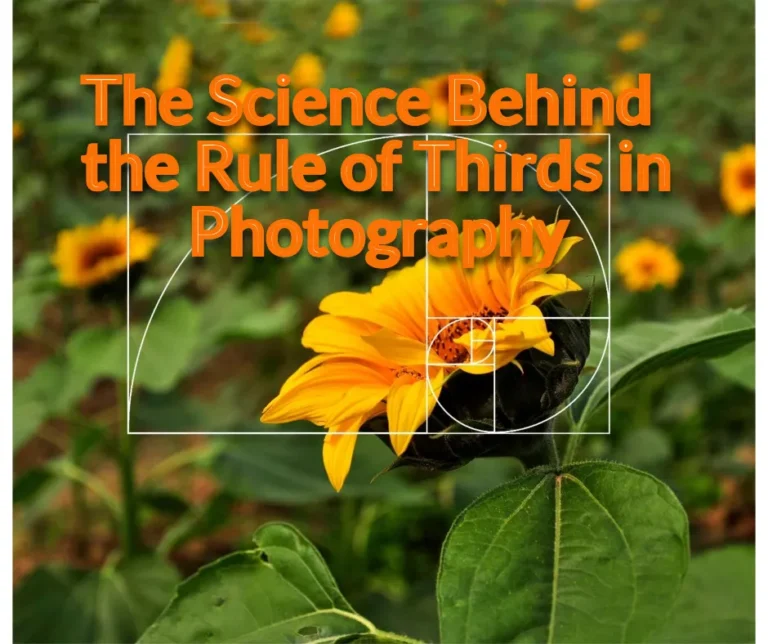 The Science Behind the Rule of Thirds in Photography: Principles and Practice